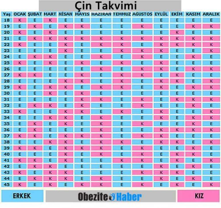 Çin Takvimi Hesaplama Obezite Haber