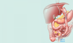 Roux-en Y Bypass ve Mini Gastrik Bypass Ameliyatlarının Farkları Nelerdir?