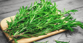 Biberiyenin Faydaları Neler? Biberiye Yağı ve Çayı Faydaları