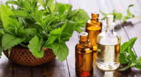 Ferahlatan Nane Yağının 22 Farklı Faydası Nedir? Nasıl Kullanılır?