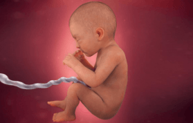 Gebeliğin 30. Haftasında Neler Oluyor, Bebek Gelişimi Nasıl?