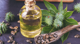 Hint Yağı İçerisinde Neler Var? Kastor Yağı Faydaları Nelerdir?