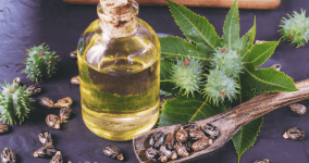 Hint Yağı İçerisinde Neler Var? Kastor Yağı Faydaları Nelerdir?