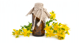 Kantaron Yağı Nasıl Yapılır, Faydaları Nelerdir ve Nelere İyi Gelir?