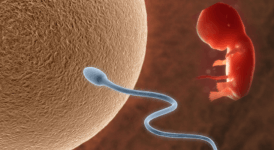 Kimyasal Gebelik Nedir, Neden Olur, Belirtileri Nelerdir?