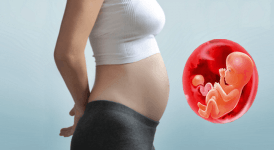 Gebelikte 14. 15. 16. Hafta: Hamilelikte 4. Ay Nasıl Geçer?