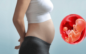 Gebelikte 14. 15. 16. Hafta: Hamilelikte 4. Ay Nasıl Geçer?