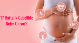 Gebeliğin 17. Haftasında Anne ve Bebekteki Değişimler