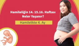 Hamileliğin 4. Ayı: Anne ve Bebekte Değişimler