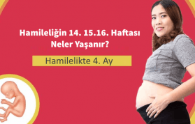 Hamileliğin 4. Ayı: Anne ve Bebekte Değişimler