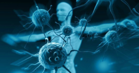 Bağışıklık Sistemi Nasıl Güçlenir? Bağışıklığı Ne Güçlendirir?