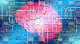 Beyin Bilgisayar Arayüzünde BCI Yeni Trendler